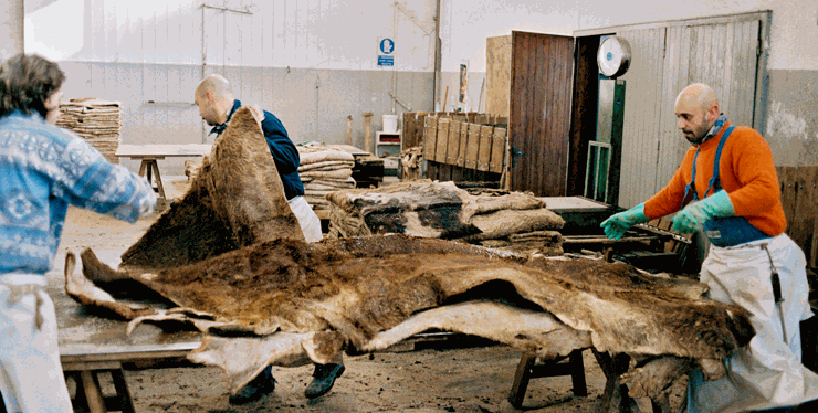 Odoo CMS - a big picture